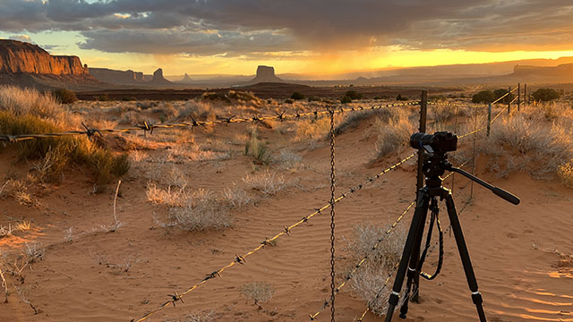 Download a zipped file of promotional materials in the Additional Assets section below.